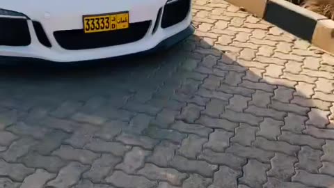 🚘💎 The Most STUNNING Car Interior You'll See! | LuxurySportsCars