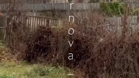 Kursk region, Lgov 🦅💥