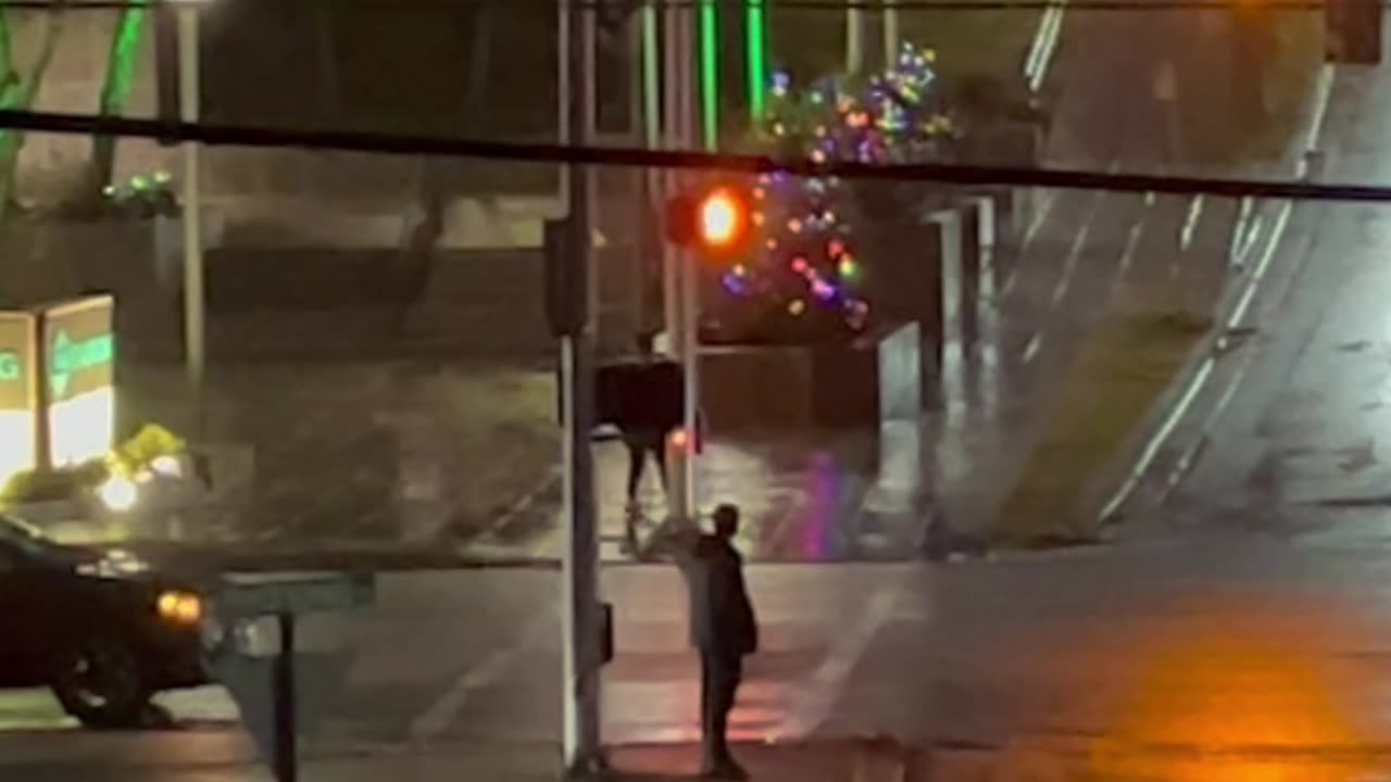 Street Watch SJNB — Saint John, NB