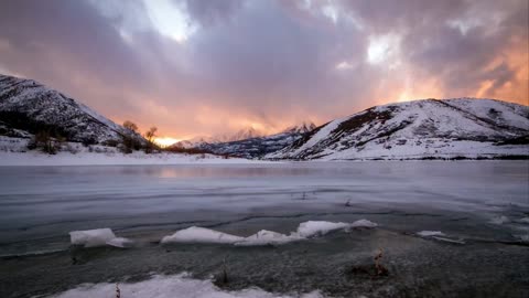 🦅 Rejoice America 🕊️