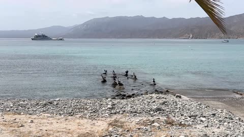 Consciousness and Chaos Unpacking the Influence of Thoughts on Water