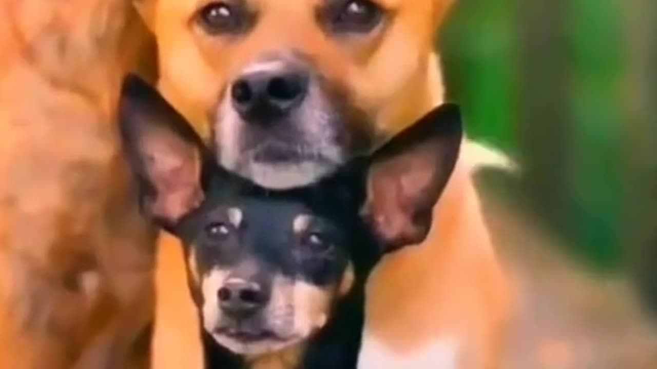 SNAPSHOT THURSDAY 10/16/25