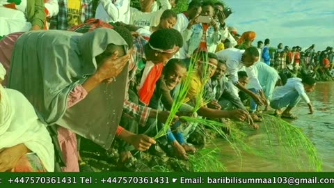 Qophii Irreecha ONM-ABO Onkoloolessa 4-2025 itti dhiyaadhaa!