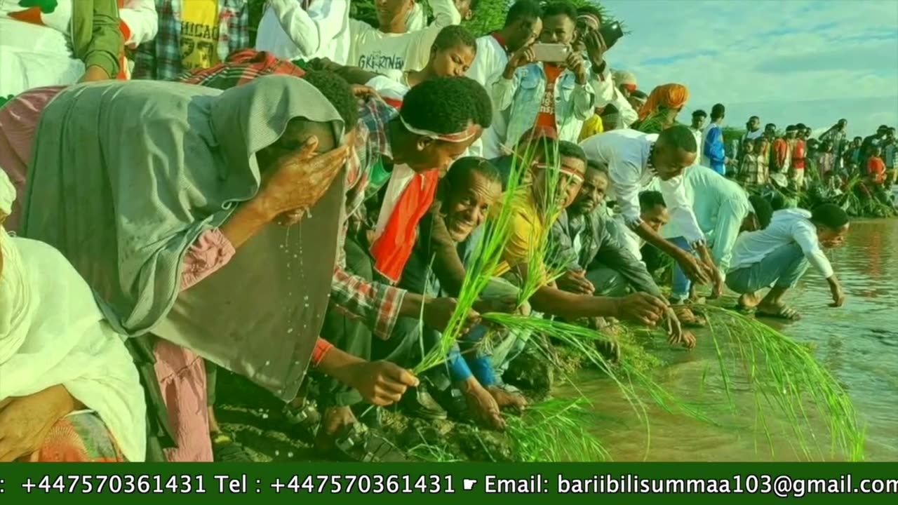 Qophii Irreecha ONM-ABO Onkoloolessa 4-2025 itti dhiyaadhaa!