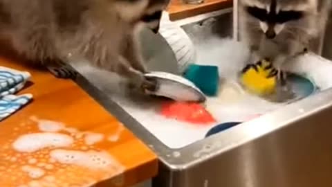 You Hired The Cheapest Cleaners on Craigslist #kidsanimation