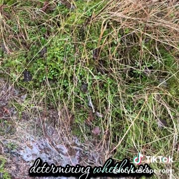 LER - A meditation prayer to remove the politically charged energy