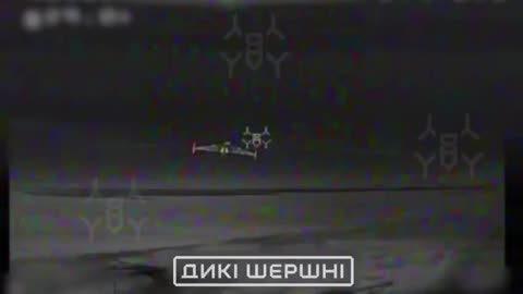 Alpha SBU units were among the first to successfully shoot down shaheds using drones