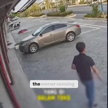 Don't Trust Your Car's Auto-Parking Like This Guy Did!