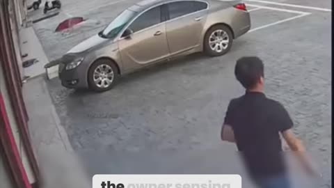 Don't Trust Your Car's Auto-Parking Like This Guy Did!