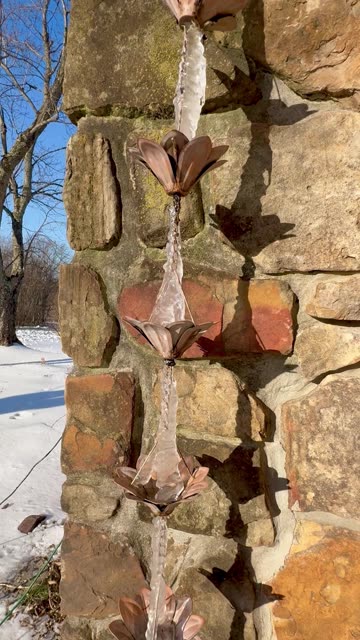 Winter Beauty Rumble Short