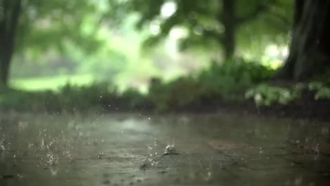 Relaxing Rain Sound