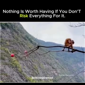 Sometimes, life demands bold moves.