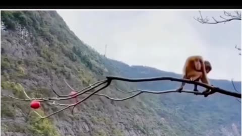 Sometimes, life demands bold moves.