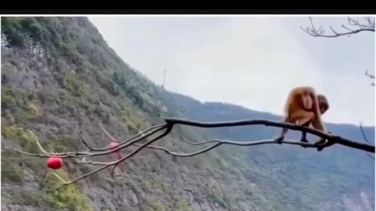 Sometimes, life demands bold moves.