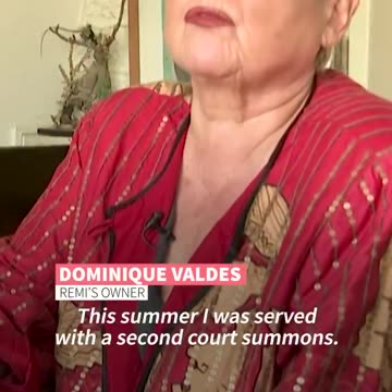 Funny cat video 12/7/25