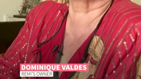 Funny cat video 12/7/25