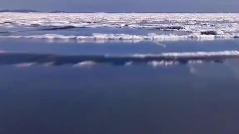 Antarctica is not just ice