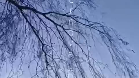 Belgorod region 🚀