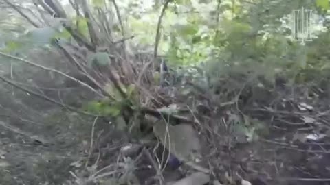 Russian and Ukrainian Soldiers Come Face to Face During Incredible Battle Near Kupyansk