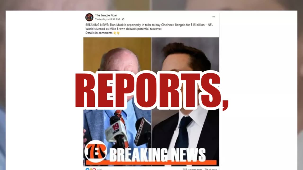 Fact Check: NO Credible Reports Said Elon Musk Was In Talks To Buy Cincinnati Bengals In March 2025