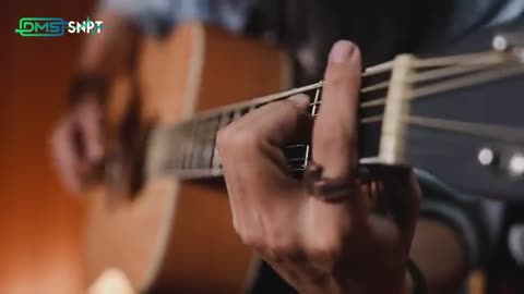 Avenged Sevenfold - Seize The Day (Acoustic Cover by Dimas Senopati)