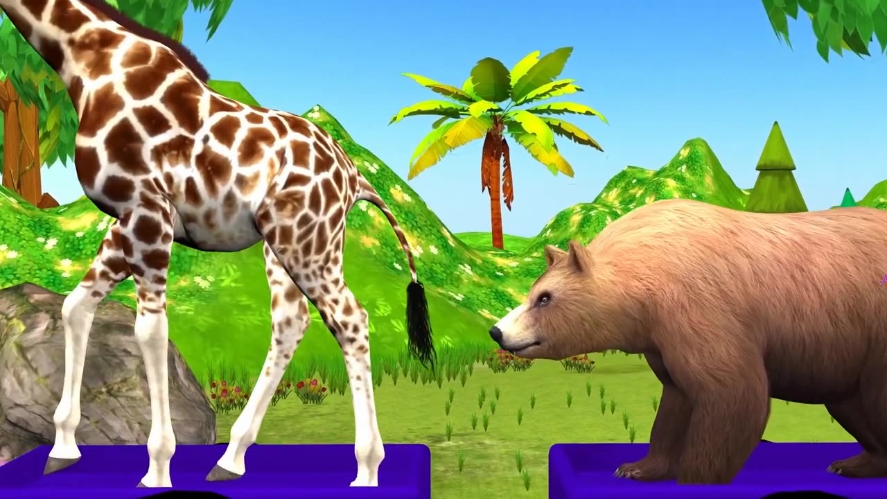 *Train with animals*