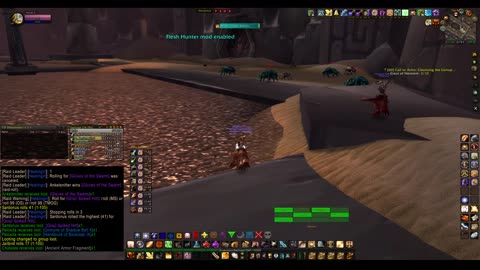 Turtle Wow - PUG AQ20 - Paladin POV - no commentary