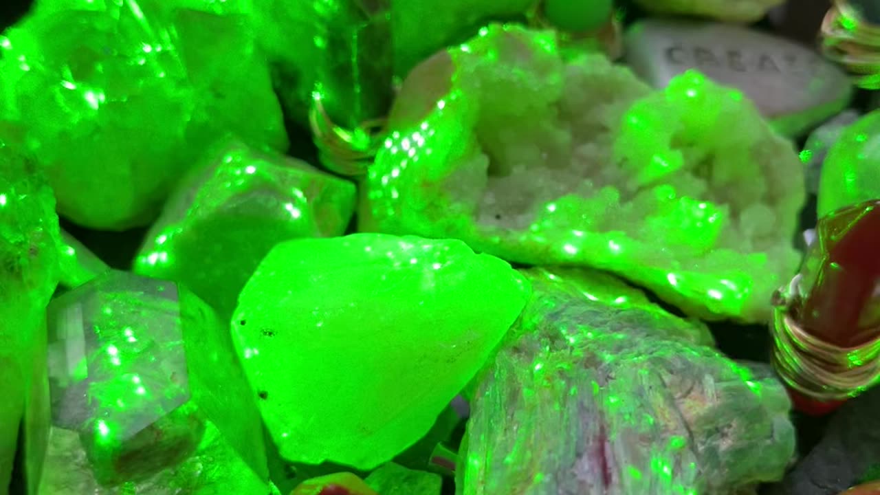 The stupidity of it all 🎭