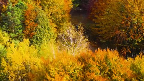 Emotional R&B Nights