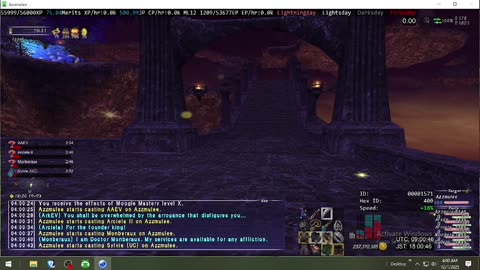 Playing Final Fantasy XI Online