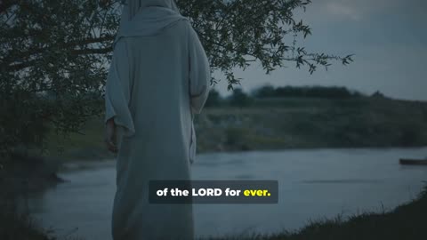 Let Psalm 23 Calm your spirit : a refreshing visualization