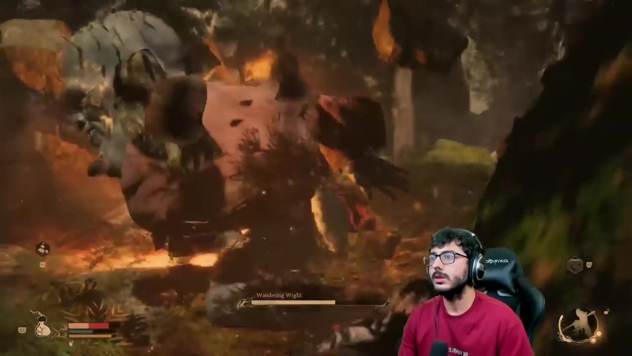 Wolf attack