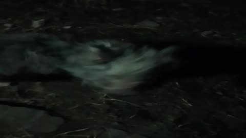 Cada día como oportunidad