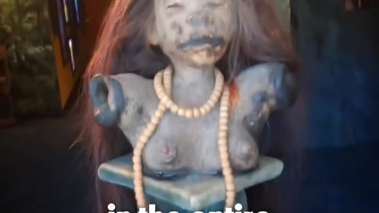 THIS IS A REAL SHRUNKEN HUMAN BODY