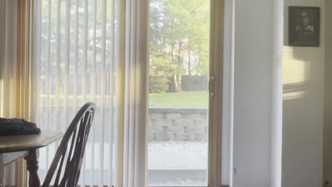 Exercising Everyday till I'm fit Day 39 #exercise #fitness