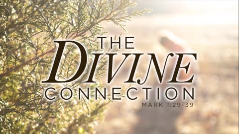 Your Divine Connection