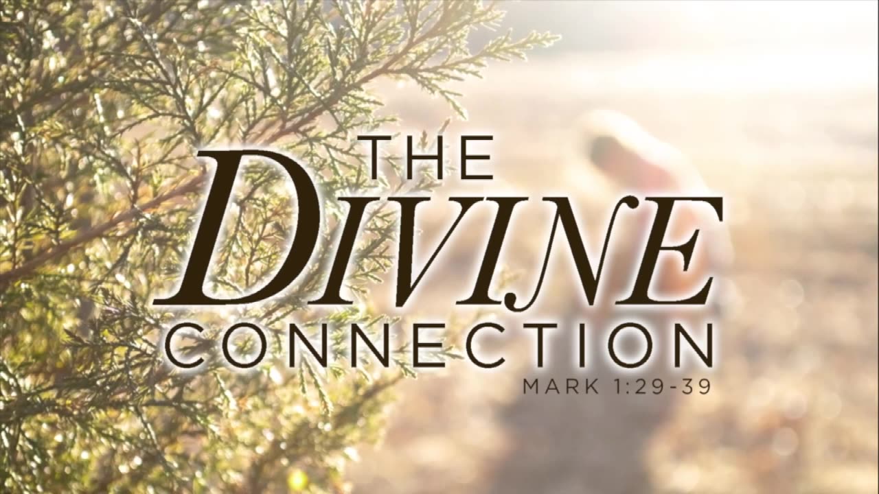 Your Divine Connection