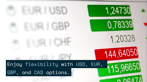 Pay Business Expenses Globally with the Payoneer Card