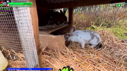 🔥HOMESTEAD Day > Bbqn 🔥 Fire 🔥 Village Alaska !Real !Homestead