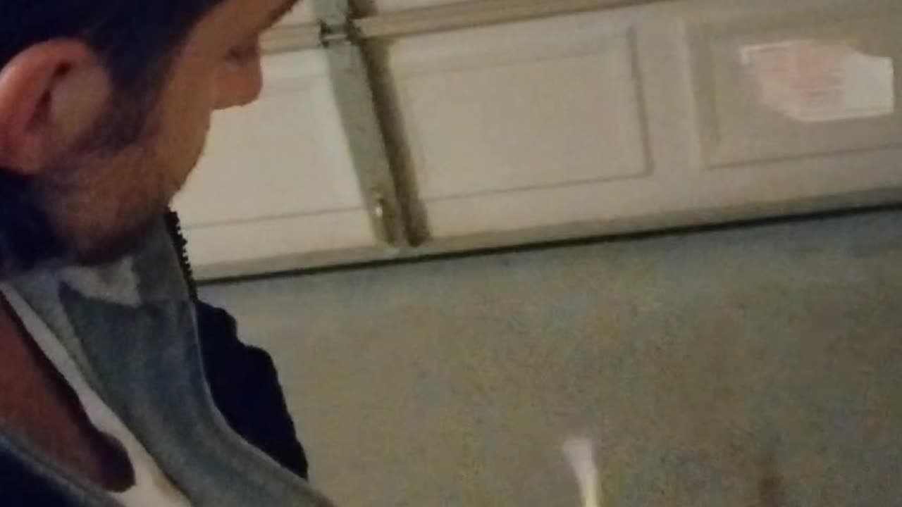 Midnight dog walk w/ Dalmatian