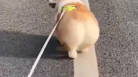 Breaking women’s hearts 😂