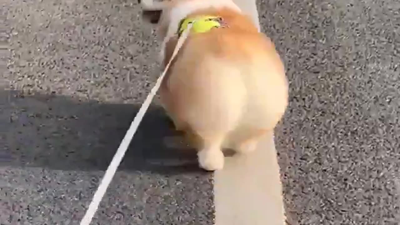 Breaking women’s hearts 😂