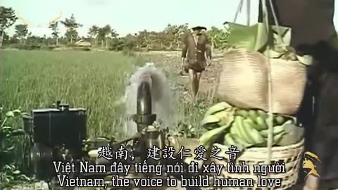 NGUỒN GỐC CỜ VÀNG CỦA VNCH