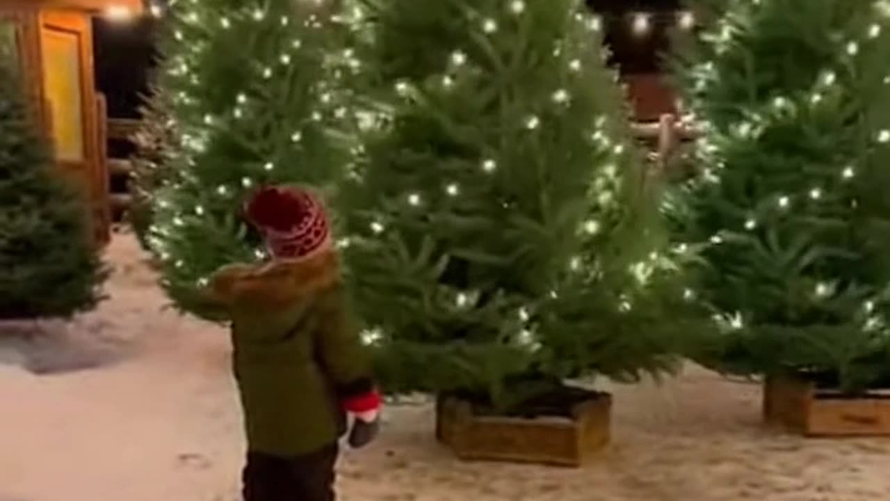 Happy Holidays Dancing Christmas Trees