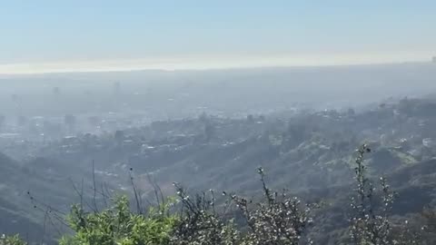 Your Daily Dose Of Internet / The Most Serious Mall Cop