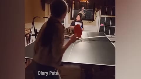 Funniest Animals 2024 🤣😅 New Funny Cats and Dogs Videos