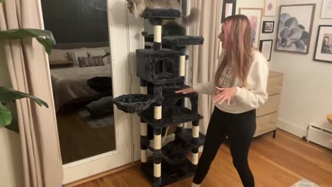 Transform Your Cat’s World with the Taoqimiao 66-Inch Tower A Must-Have!