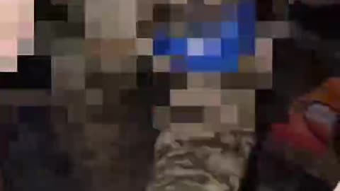 Ukraine war related/combat footage 12/10/2025