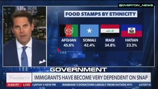 ALERT! "Most of the People On FOOD STAMPS Aren't Even From This Country [U.S.]"