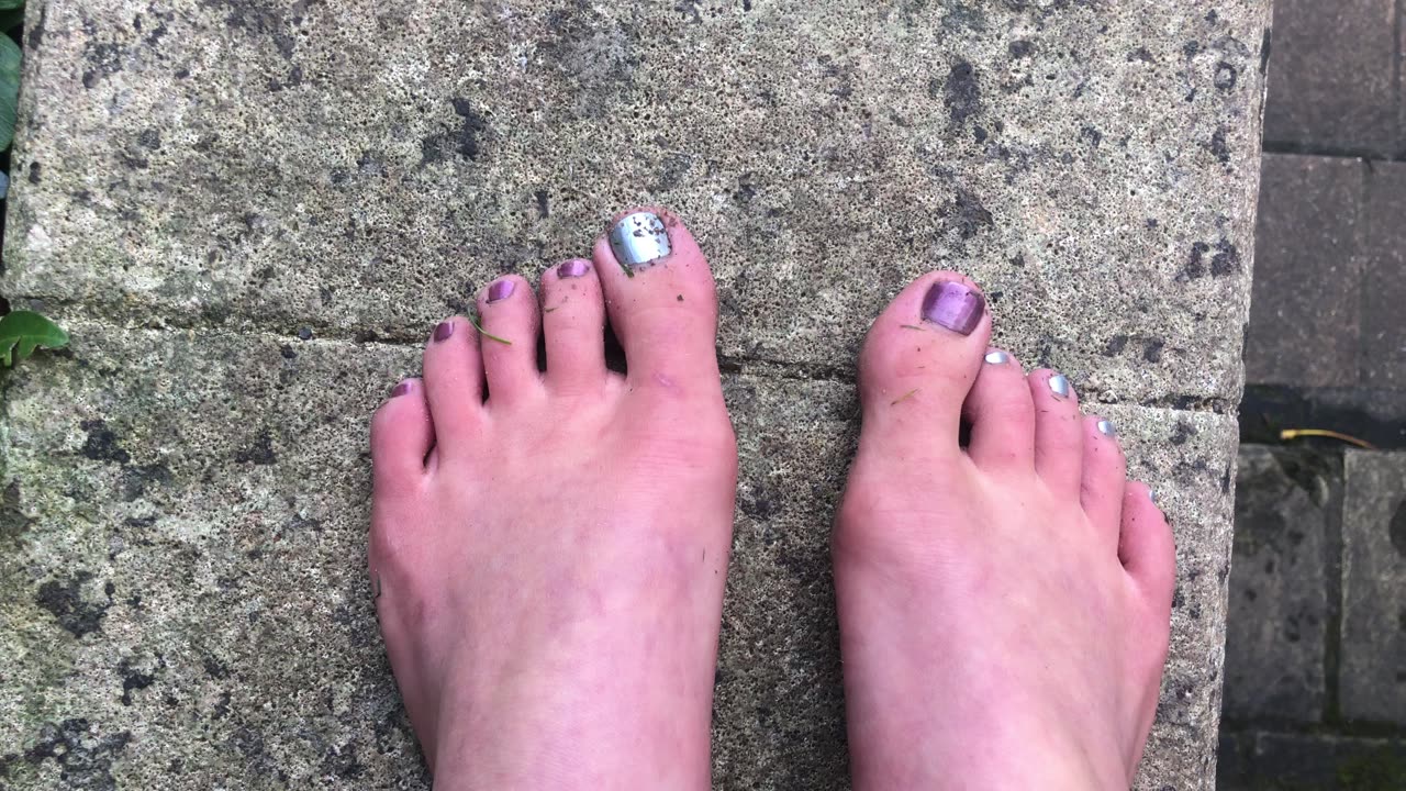 The Secret Gardens in Norwich🌱